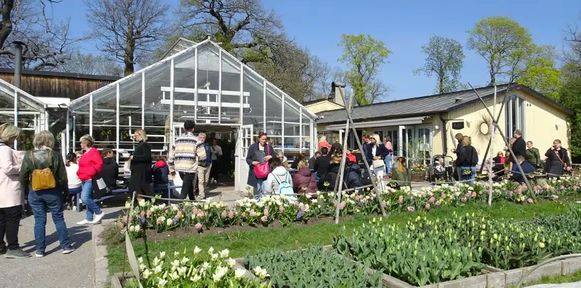 education conference