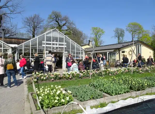 education conference